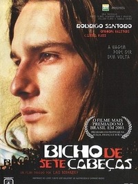 Bicho de Sete Cabeças (2000)